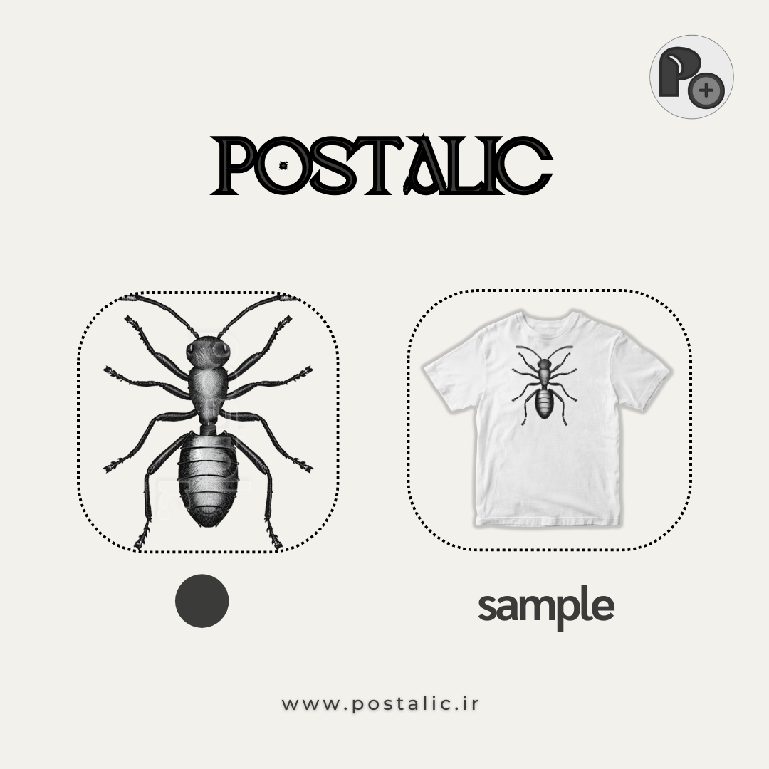 مورچه | ANT -15